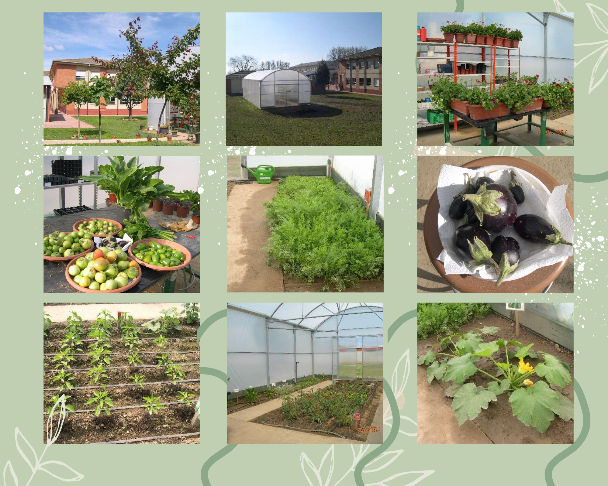 Taller de Jardineria